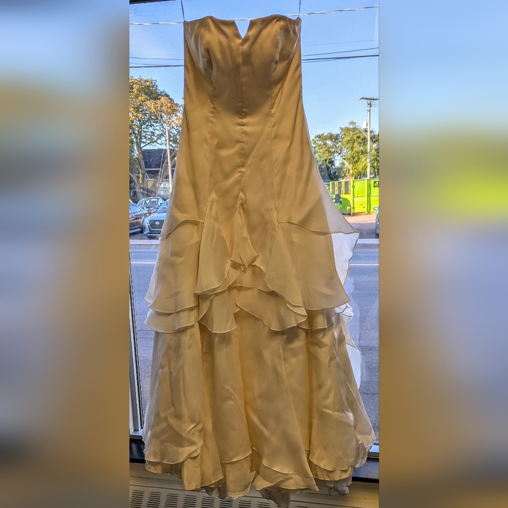 Ivory sz 10 wedding gown Jennifer Salmon - Picture 1 of 12